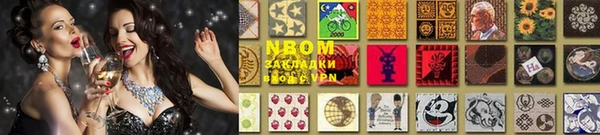 хмурый Аркадак
