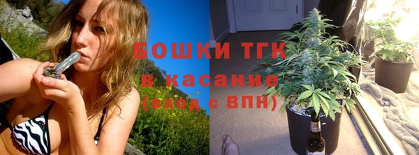 ПСИЛОЦИБИНОВЫЕ ГРИБЫ Арсеньев