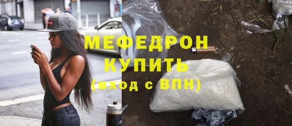 хмурый Аркадак
