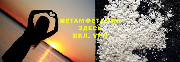 хмурый Аркадак
