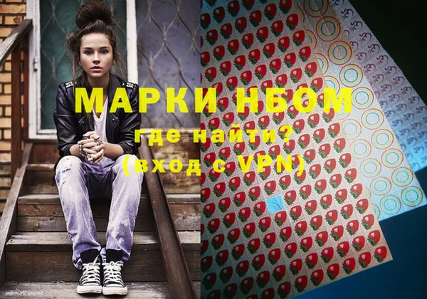 ПСИЛОЦИБИНОВЫЕ ГРИБЫ Арсеньев