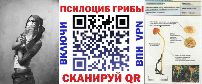 Галлюциногенные грибы Cubensis  Майкоп 