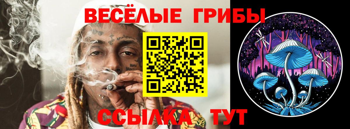 Галлюциногенные грибы Magic Shrooms  Псилоцибиновые грибы мухоморы  Вход с VPN  Майкоп 